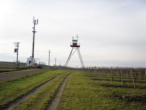 Foto 20